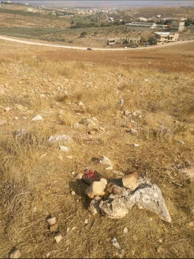 أرض في اربد قريه شطنا - 53,380 دأ - صورة 1