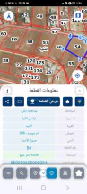أرض - الكرك/الثنية/أم سويدة - 50000 دأ