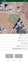 أرض في الكرك/الثنية/أم سويدة - 50,000 دأ - صورة NaN