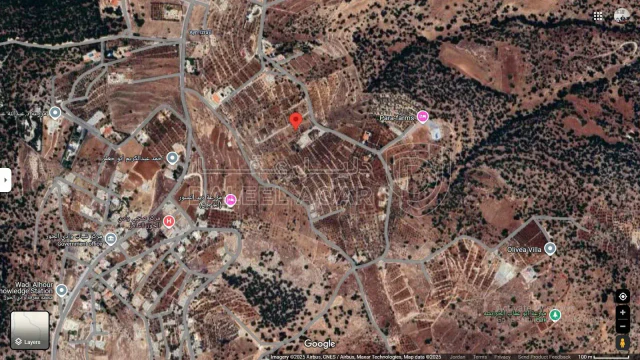 أرض في رض للبيع - أراضي السلط- القرية: دعم - 129,000 دأ - صورة 1
