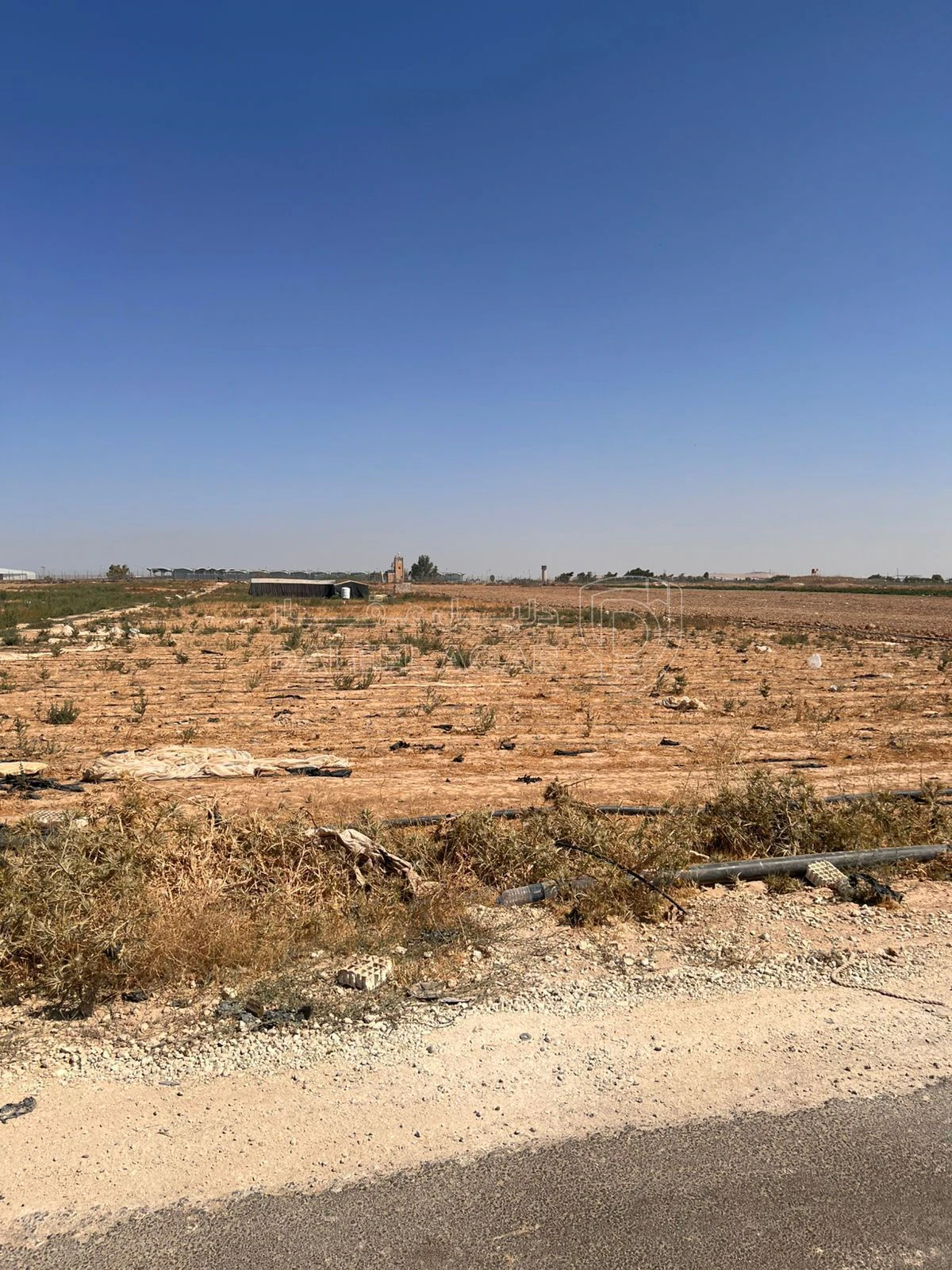 أرض في الجيزه - 65,000 دأ - صورة 4