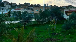 فيلا/منزل - اربد الحصن الحي الغربي شارع القناطر الغربي  - 85000 دأ