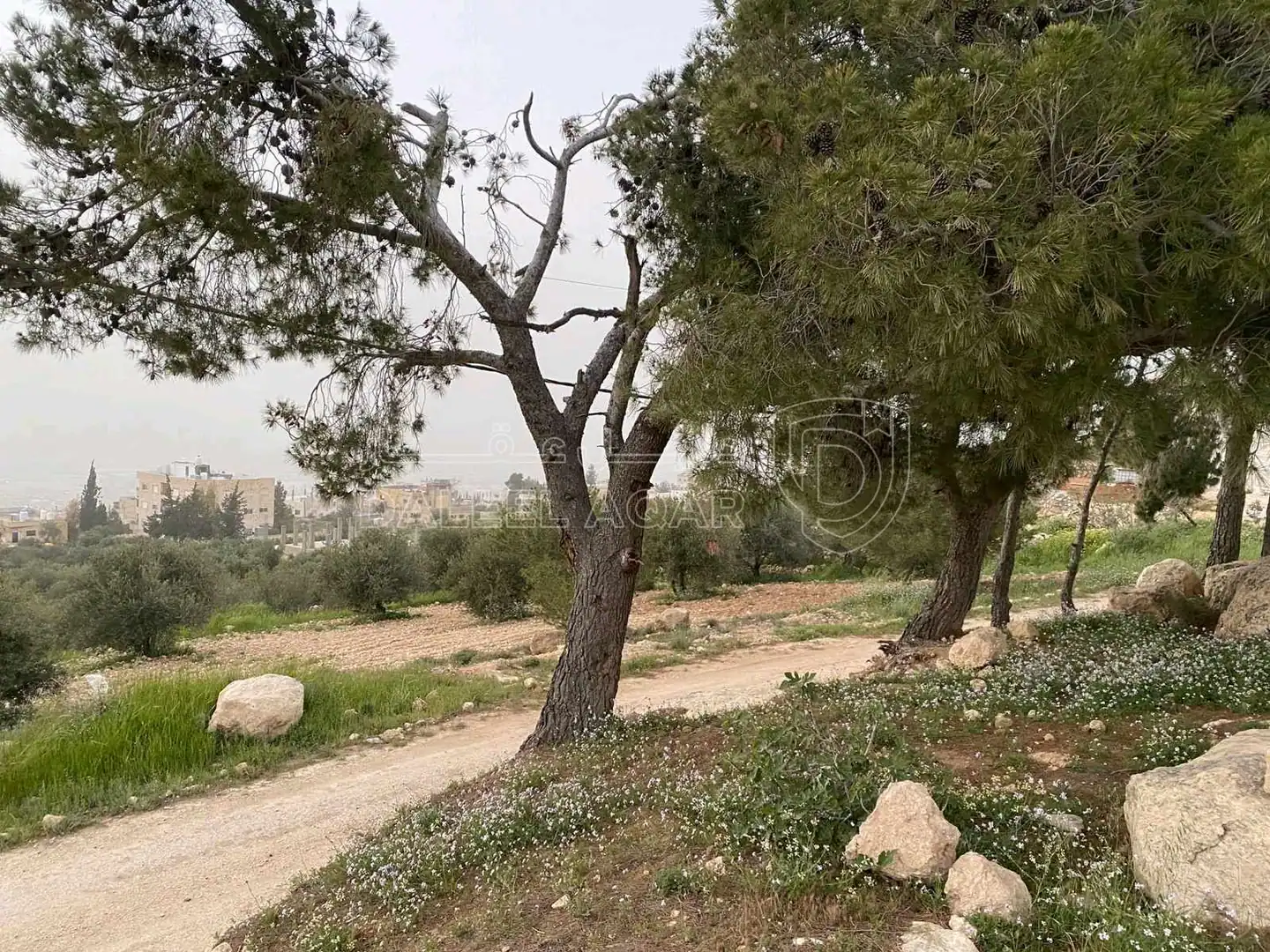 أرض في أبو نصير - حي مستشفى الرشيد -بالقرب من شارع الاردن - 83,000 دأ - صورة 1