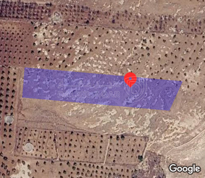 أرض في اربد بني كنانه اليرموك - 40,000 دأ - صورة 1