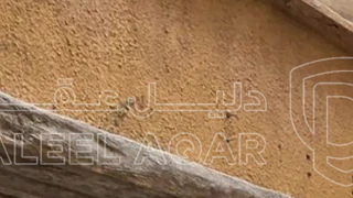 مبنى - رصيفه مخيم حطين - 38000 دأ