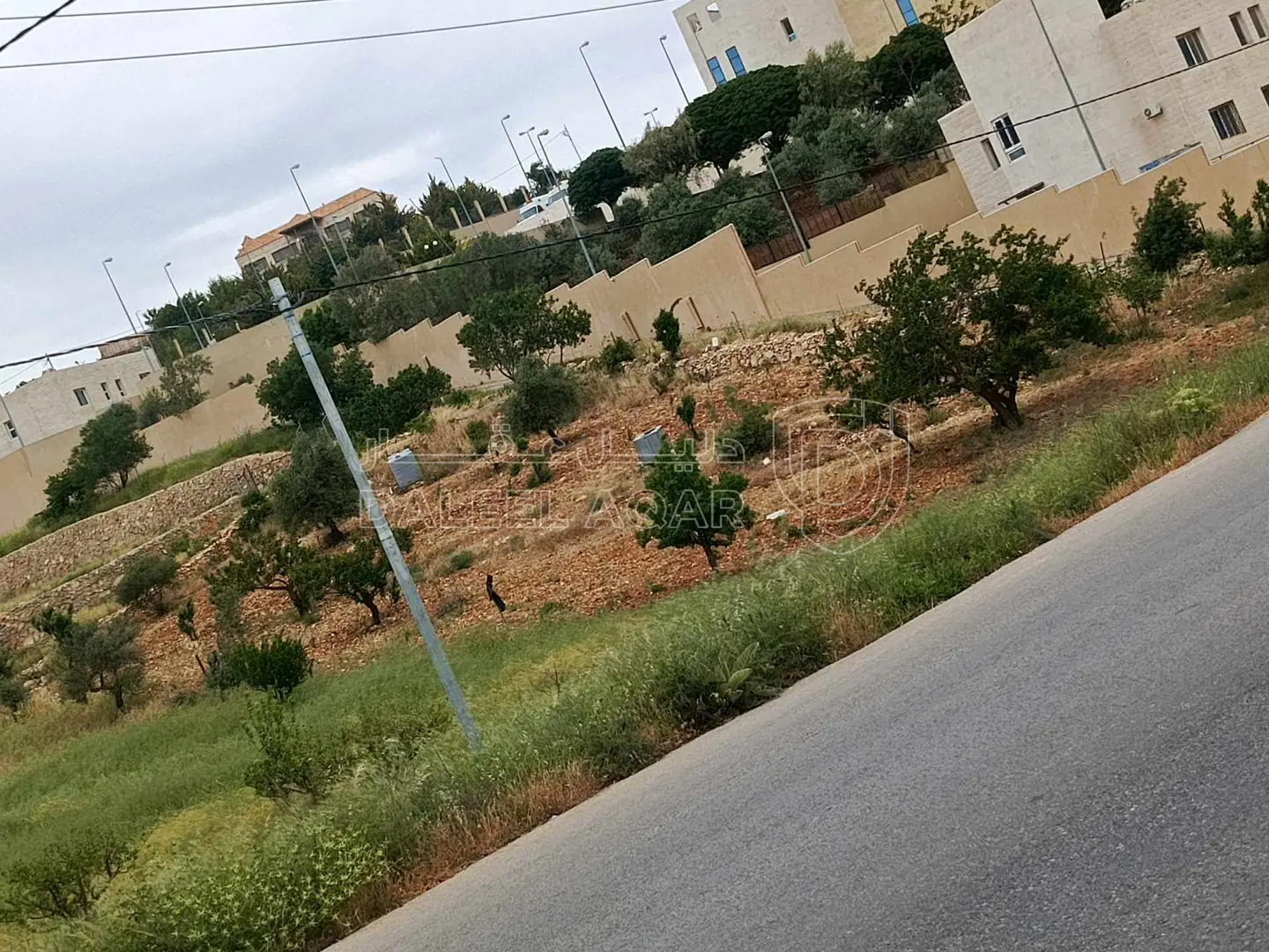 أرض في عجلون /عبين بجانب مستشفى الأميرة هيا - 66,000 دأ - صورة 1