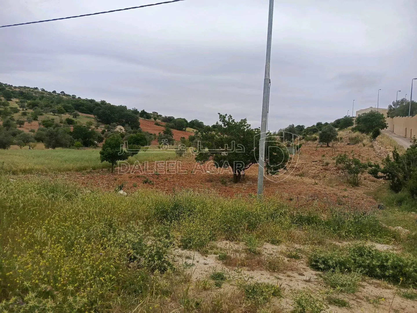 أرض في عجلون /عبين بجانب مستشفى الأميرة هيا - 66,000 دأ - صورة 1