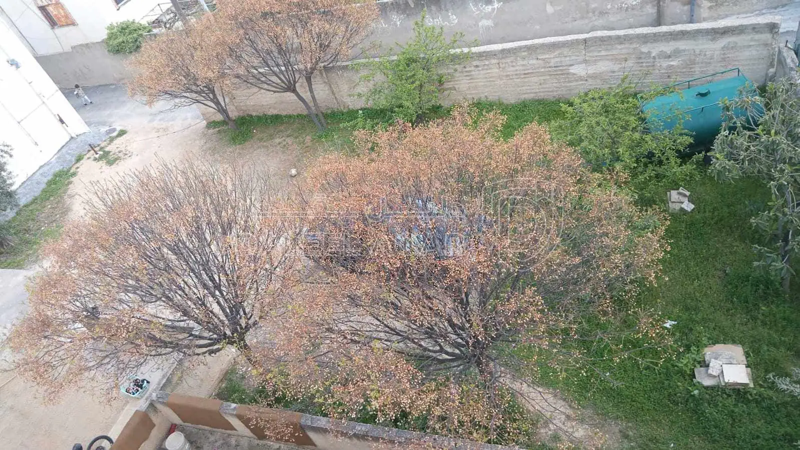 فيلا/منزل في صويلح حي الارسال بقرب من حديقة ام عمر وقصر الامير  - 120,000 دأ - صورة 1