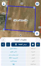 أرض في بلعما  بجانب مسجد سعد بن عباده - في منطقه سكنيه-, - 14,000 دأ - صورة NaN