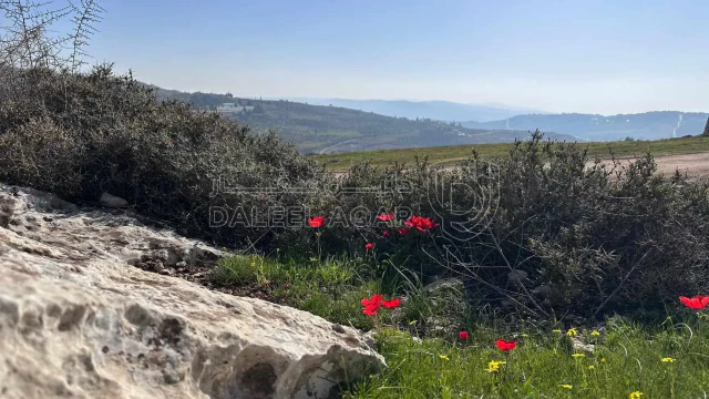 أرض في عمان - العال و الروضة  - 60,000 دأ - صورة 1