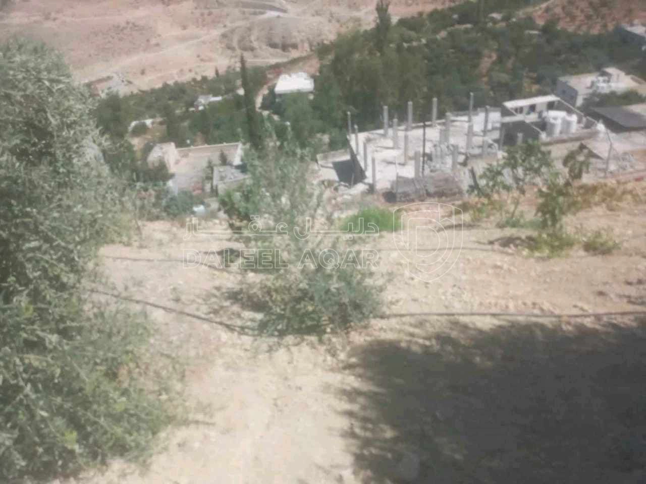 فيلا/منزل في شلالات الرممين  - 135,000 دأ - صورة 24