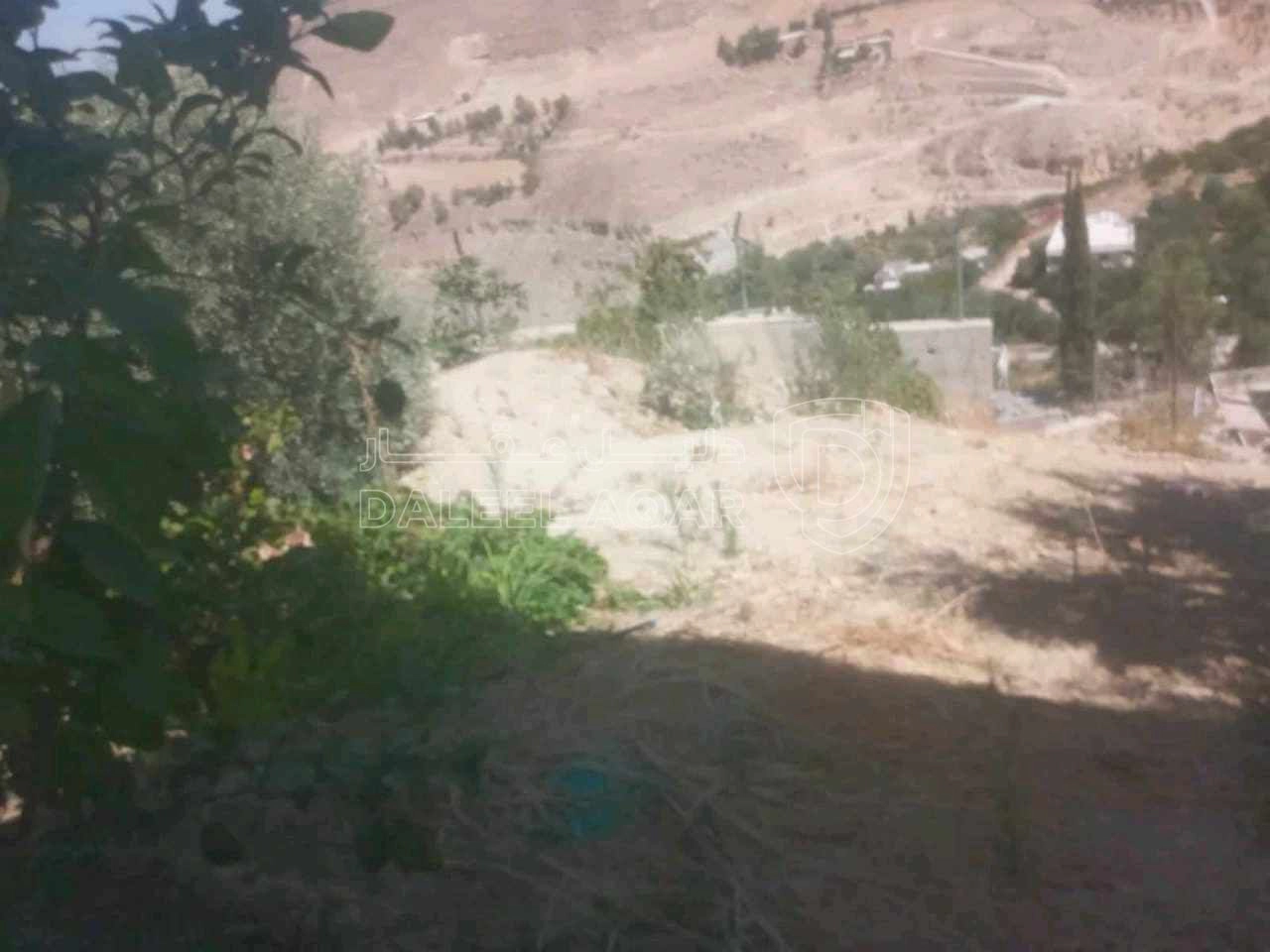 فيلا/منزل في شلالات الرممين  - 135,000 دأ - صورة 21