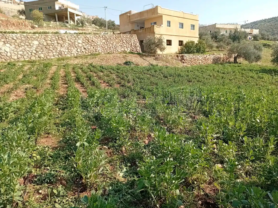 أرض في  طريق  عمان بعد جامعه فيلادلفيا قرب منتجع الصفاء - 160,000 دأ - صورة 1
