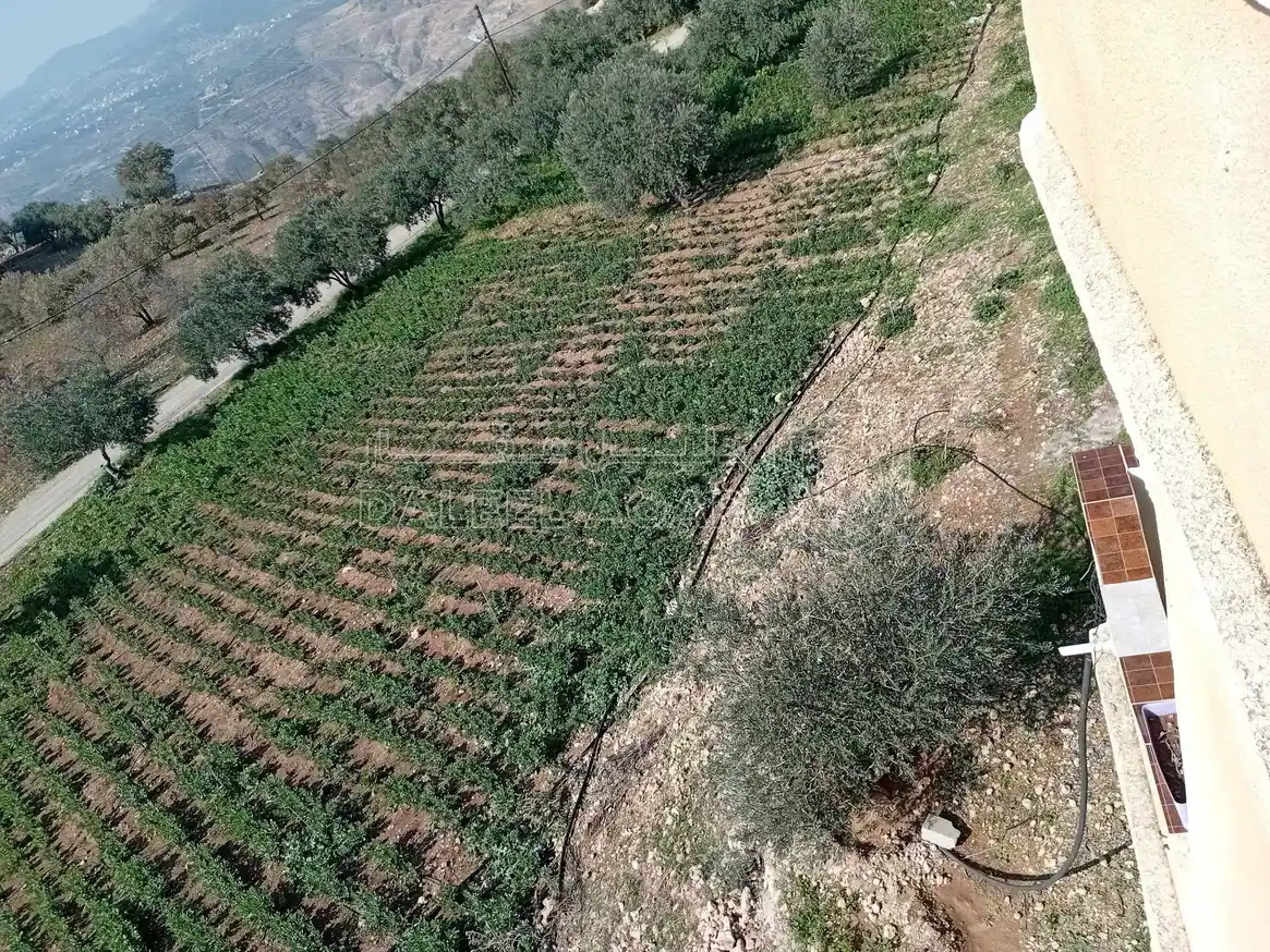أرض في  طريق  عمان بعد جامعه فيلادلفيا قرب منتجع الصفاء - 160,000 دأ - صورة 1