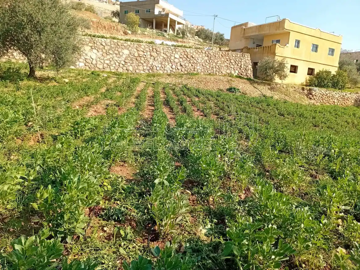 أرض في  طريق  عمان بعد جامعه فيلادلفيا قرب منتجع الصفاء - 160,000 دأ - صورة 1