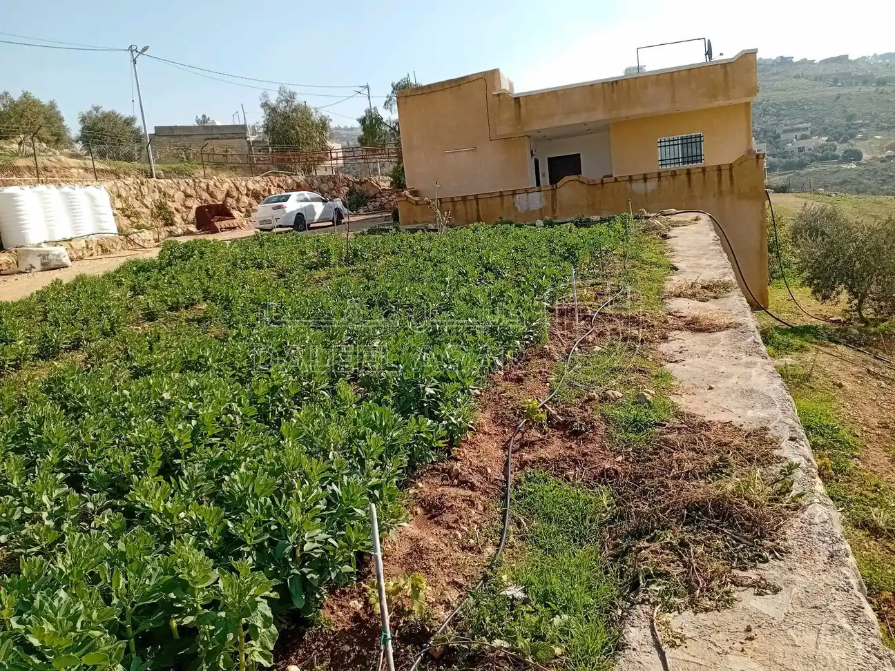 أرض في  طريق  عمان بعد جامعه فيلادلفيا قرب منتجع الصفاء - 160,000 دأ - صورة 1