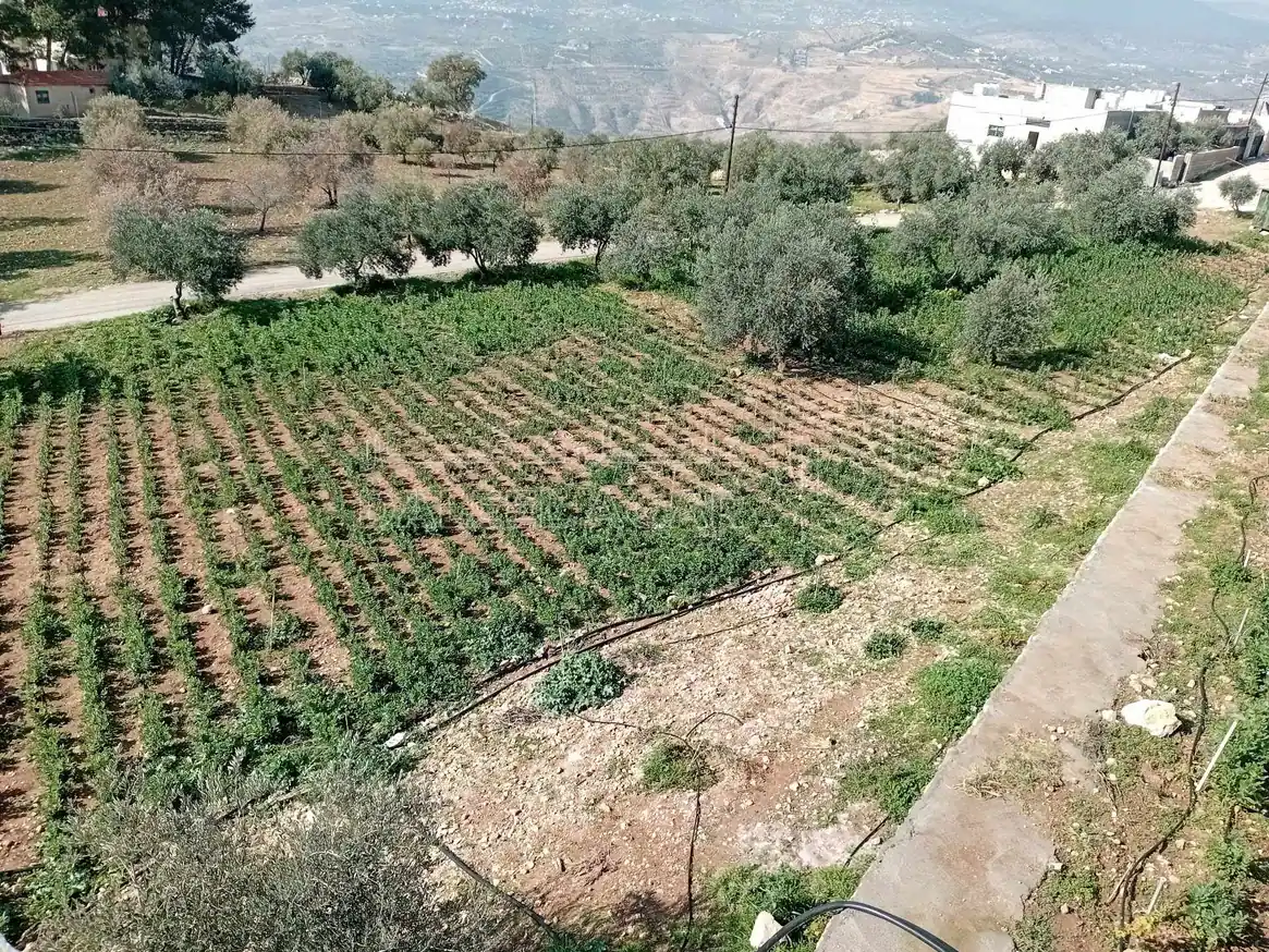 أرض في  طريق  عمان بعد جامعه فيلادلفيا قرب منتجع الصفاء - 160,000 دأ - صورة 1