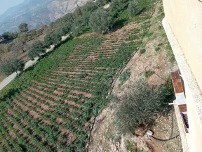 أرض في  طريق  عمان بعد جامعه فيلادلفيا قرب منتجع الصفاء - 160,000 دأ - صورة NaN