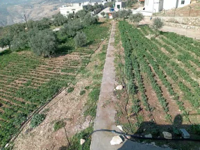 أرض في  طريق  عمان بعد جامعه فيلادلفيا قرب منتجع الصفاء - 160,000 دأ - صورة NaN
