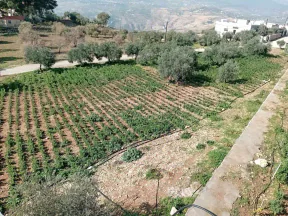 أرض في  طريق  عمان بعد جامعه فيلادلفيا قرب منتجع الصفاء - 160,000 دأ - صورة NaN