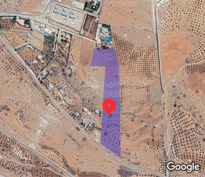 أرض في الكمشه البيره  - 300,000 دأ - صورة 1