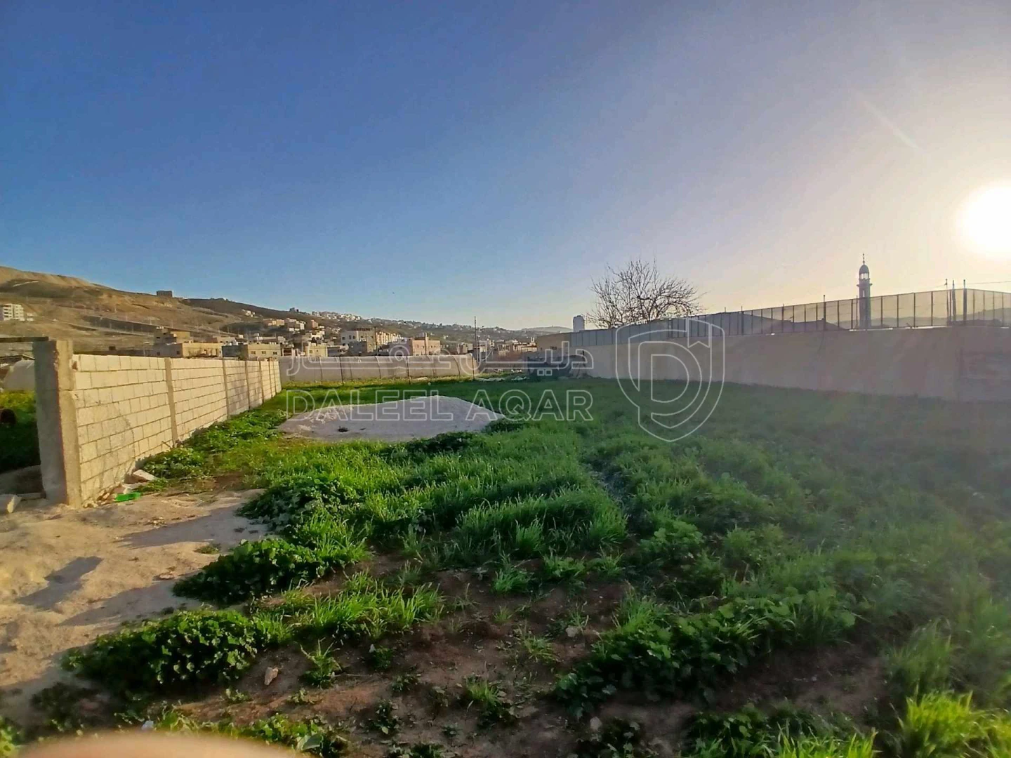 أرض في نص دنم للبيع - 25,000 دأ - صورة 1