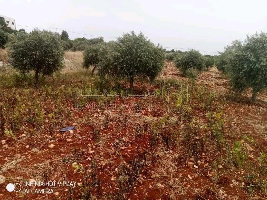 أرض في عجلون. صخرة  - 28,000 دأ - صورة 1