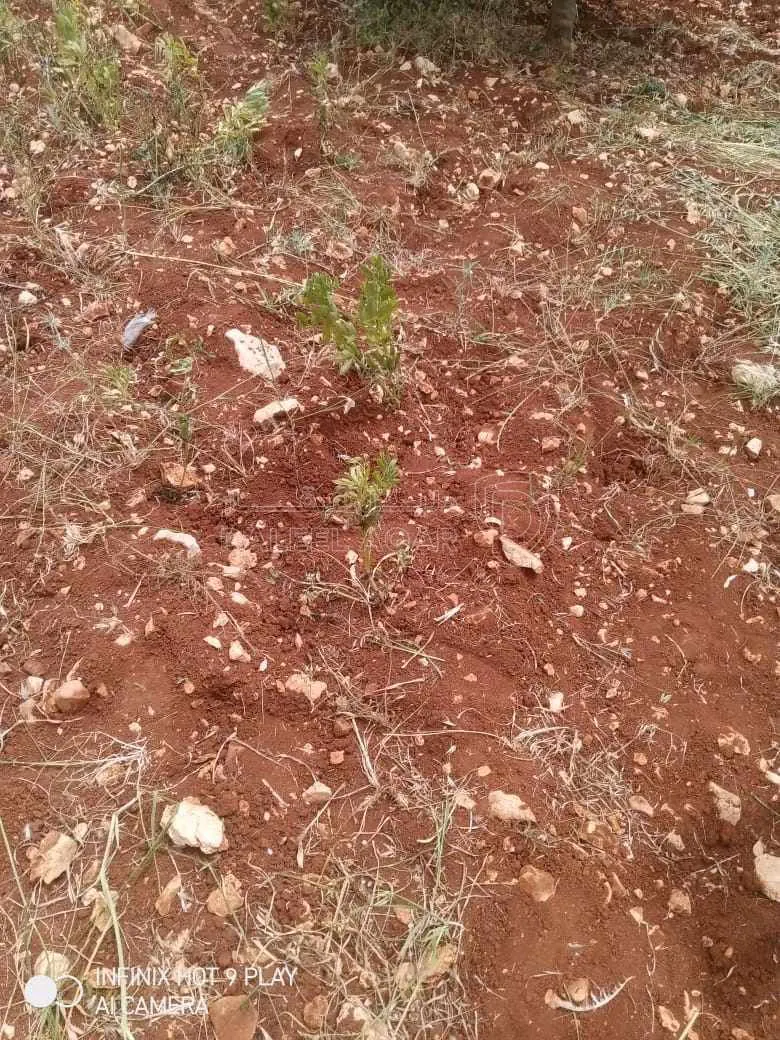 أرض في عجلون. صخرة  - 28,000 دأ - صورة 1