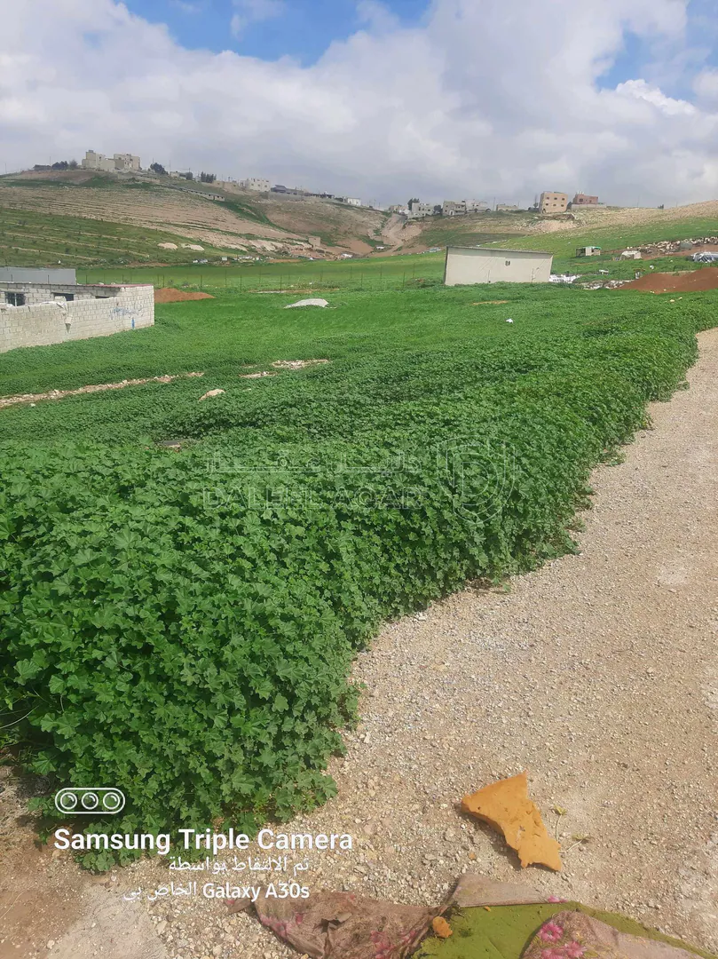 أرض في عمان سحاب الحي الشرقي - 24,000 دأ - صورة 1