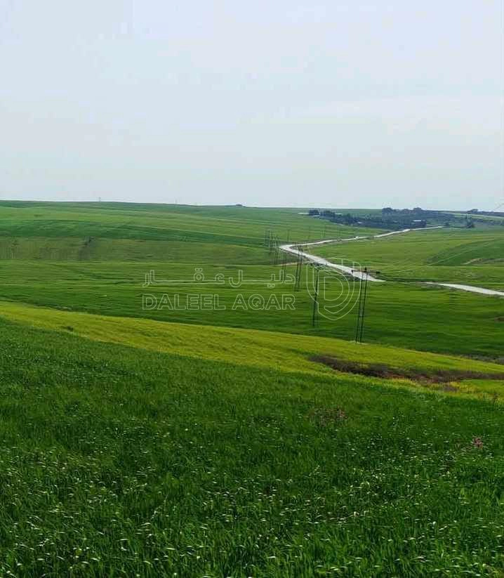 أرض في قطعه ارض للبيع كوشان مستقل خمس ونص - 7,500 دأ - صورة 1