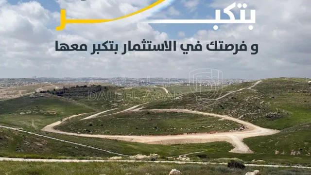أرض في ارض للبيع في شفا بدران -زينات الربوع - 70,000 دأ - صورة 1