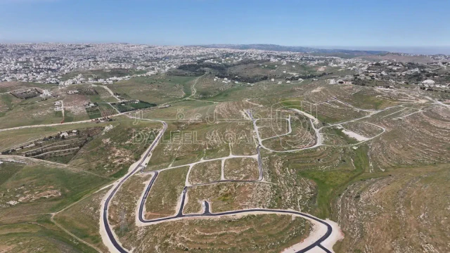 أرض - رض للبيع في شفا بدران -زينات الربوع - 80000 دأ