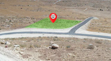 أرض في رض للبيع في شفا بدران -زينات الربوع - 80,000 دأ - صورة NaN