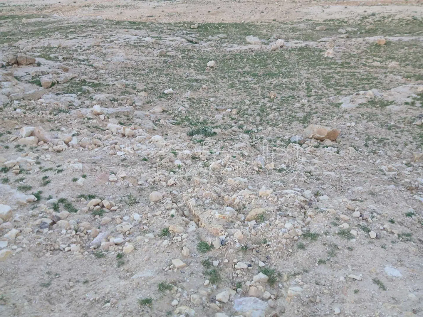 أرض في شارع الميه شارع عمان التنموي المسعده وادي العش  - 6,000 دأ - صورة 1