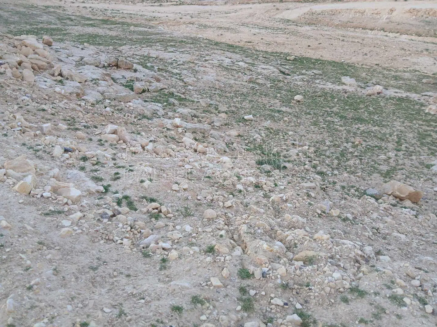 أرض في شارع الميه شارع عمان التنموي المسعده وادي العش  - 6,000 دأ - صورة 1