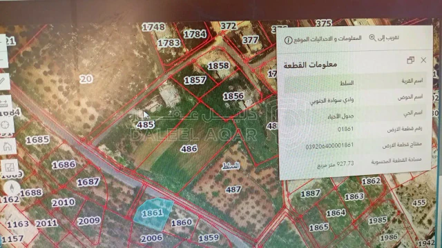 أرض - السلط _ سوادا  - 45000 دأ