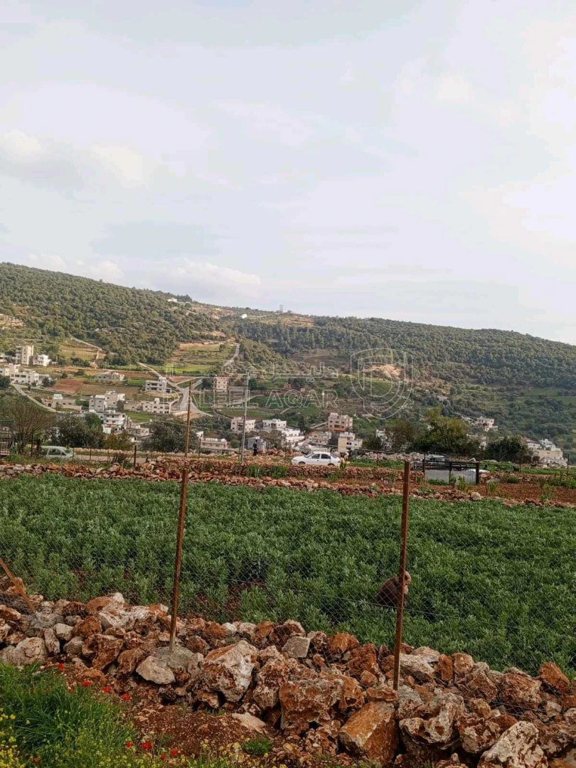 أرض في مطله على قلعه عجلون وعلى منطقة عين جنا كاملتاً - 40,000 دأ - صورة 1