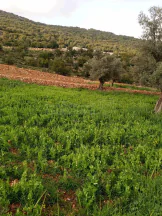 أرض في مطله على قلعه عجلون وعلى منطقة عين جنا كاملتاً - 40,000 دأ - صورة NaN