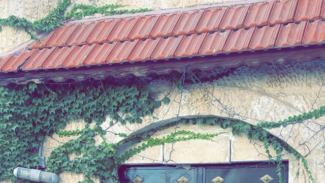 فيلا/منزل في بالقرب من مدراس لؤلؤة طارق وديوان أبناء الشمال  - 230,000 دأ - صورة NaN