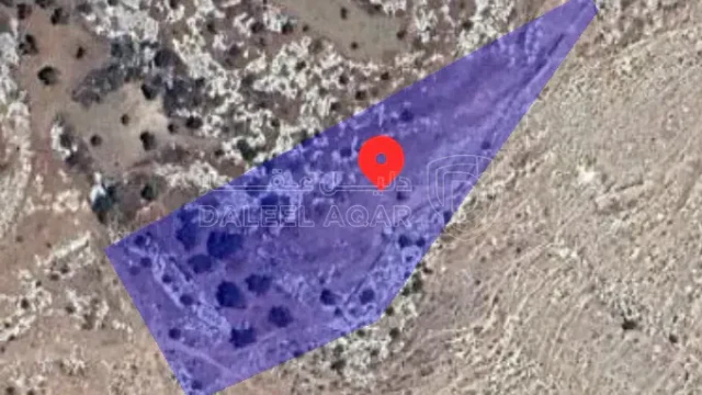 أرض في اربد لواء بني كنانة قرية ملكا حوض ارعان السهلة  - 27,000 دأ - صورة 1