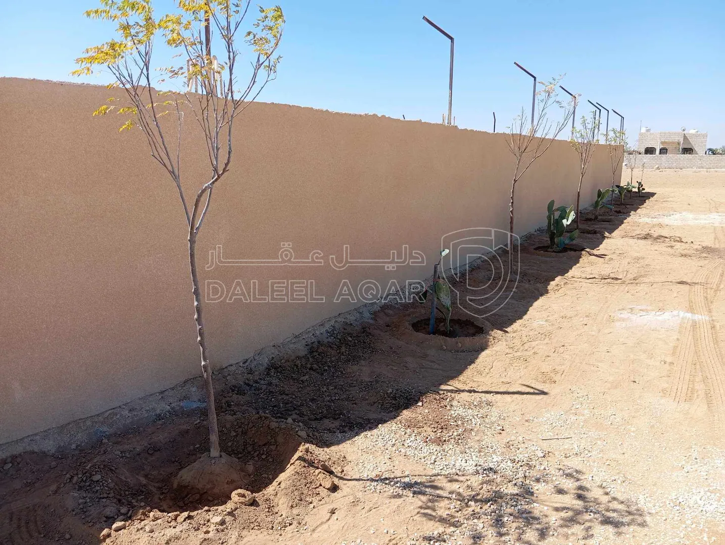 أرض في الذهيبة الشرقية قرب مسجد اصحاب الرسول - 40,000 دأ - صورة 1