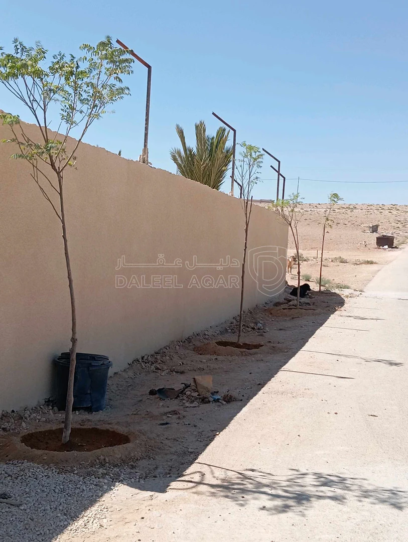أرض في الذهيبة الشرقية قرب مسجد اصحاب الرسول - 40,000 دأ - صورة 1