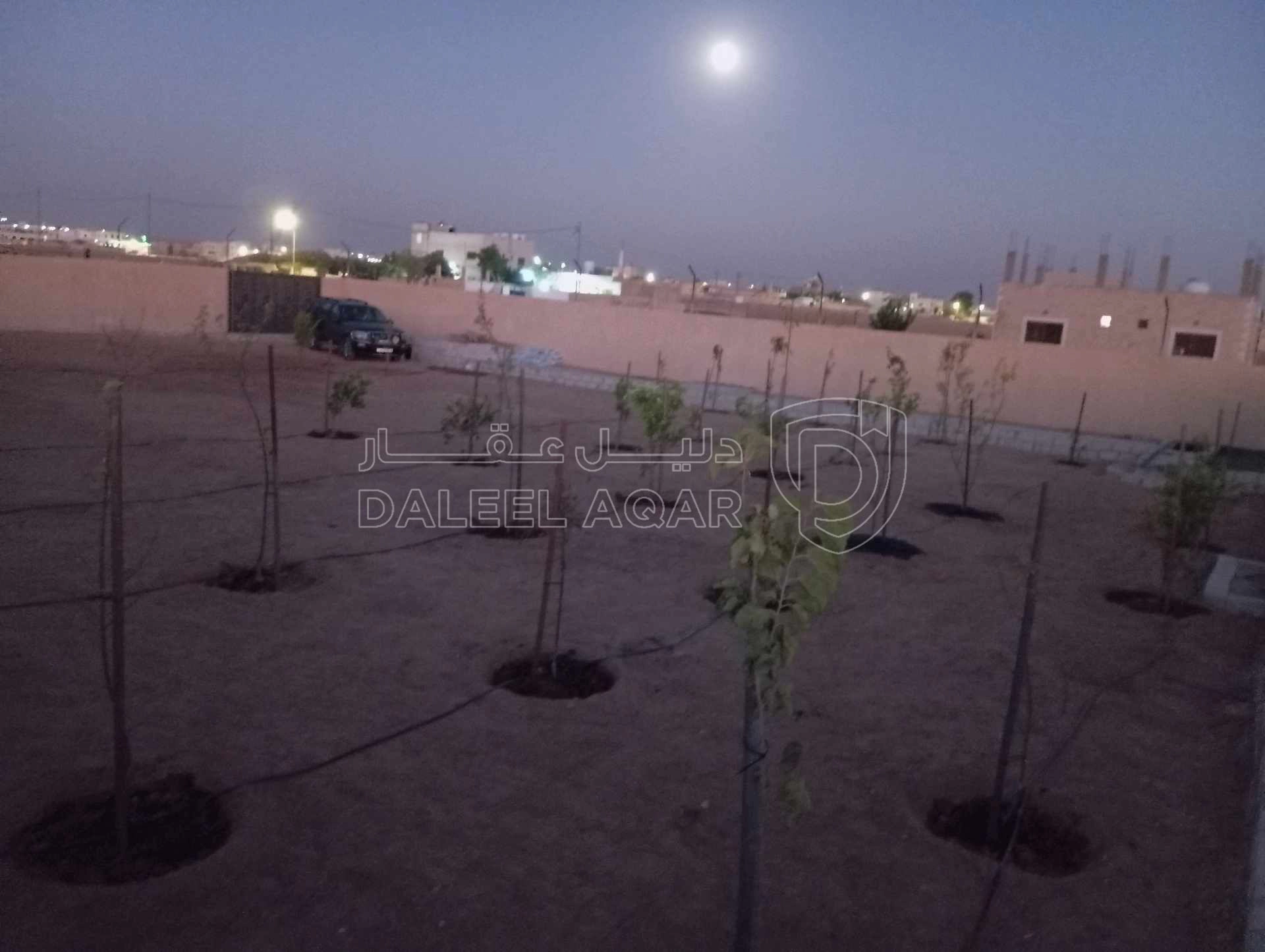 أرض في الذهيبة الشرقية قرب مسجد اصحاب الرسول - 40,000 دأ - صورة 1