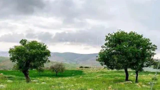 أرض في أرض لقطة للبيع في أجمل مناطق أبو السوس - 125,000 دأ - صورة 1