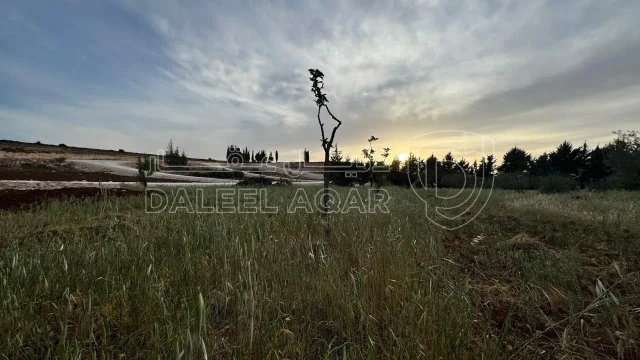 أرض في بلعاس - يبعد 6 دقائق عن طريق المطار - 185,000 دأ - صورة 1