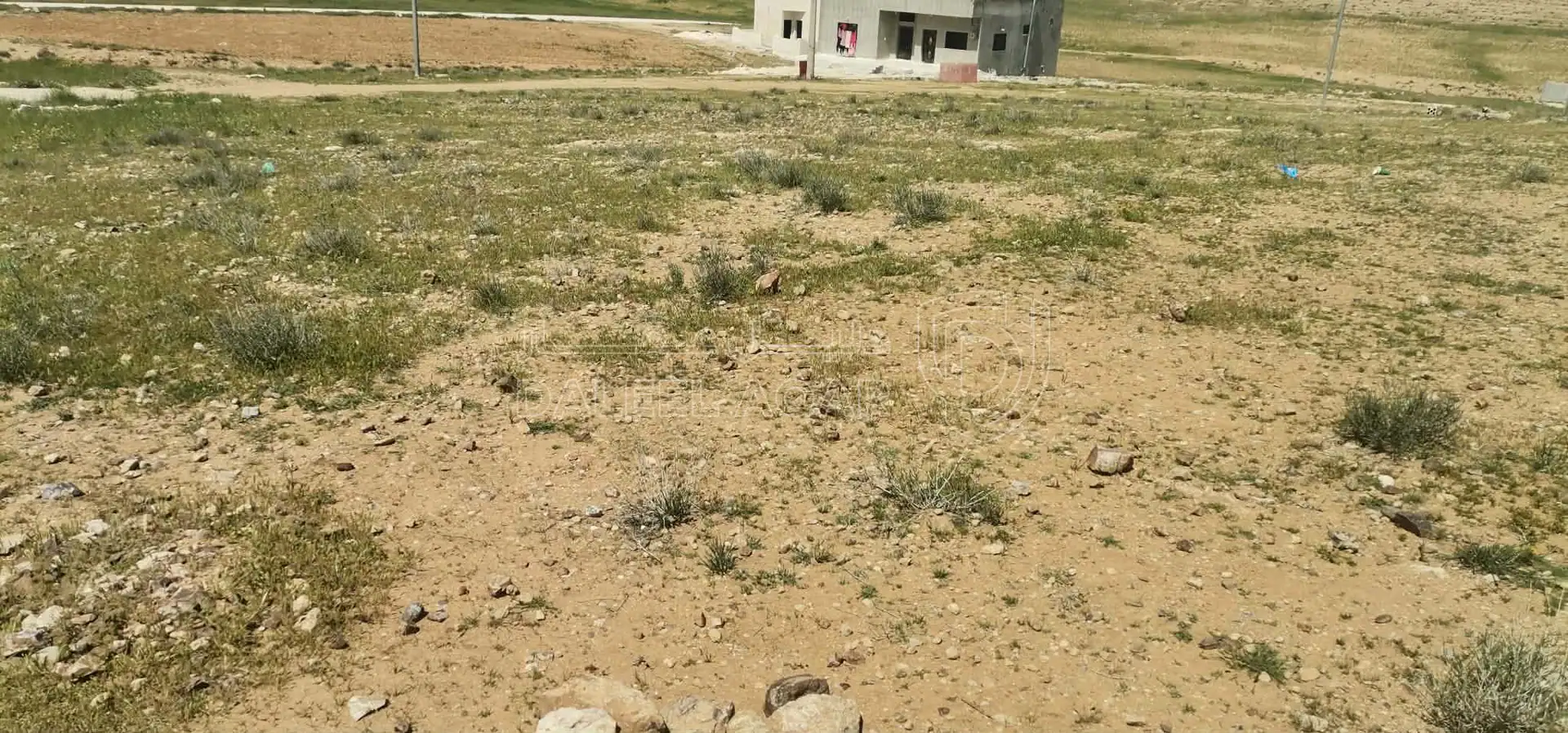 أرض في بلدة الحمراء محافظة المفرق ارض سكنية داخل التنظيم  - 15,000 دأ - صورة 1