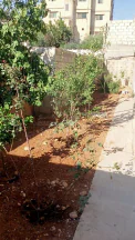 فيلا/منزل في الرصيفة حي الجندي قرب مدرسة اليرموك  - 90,000 دأ - صورة NaN
