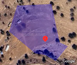 أرض في الزرقاء بيرين  منتزه الأمير هاشم - 390,000 دأ - صورة 1