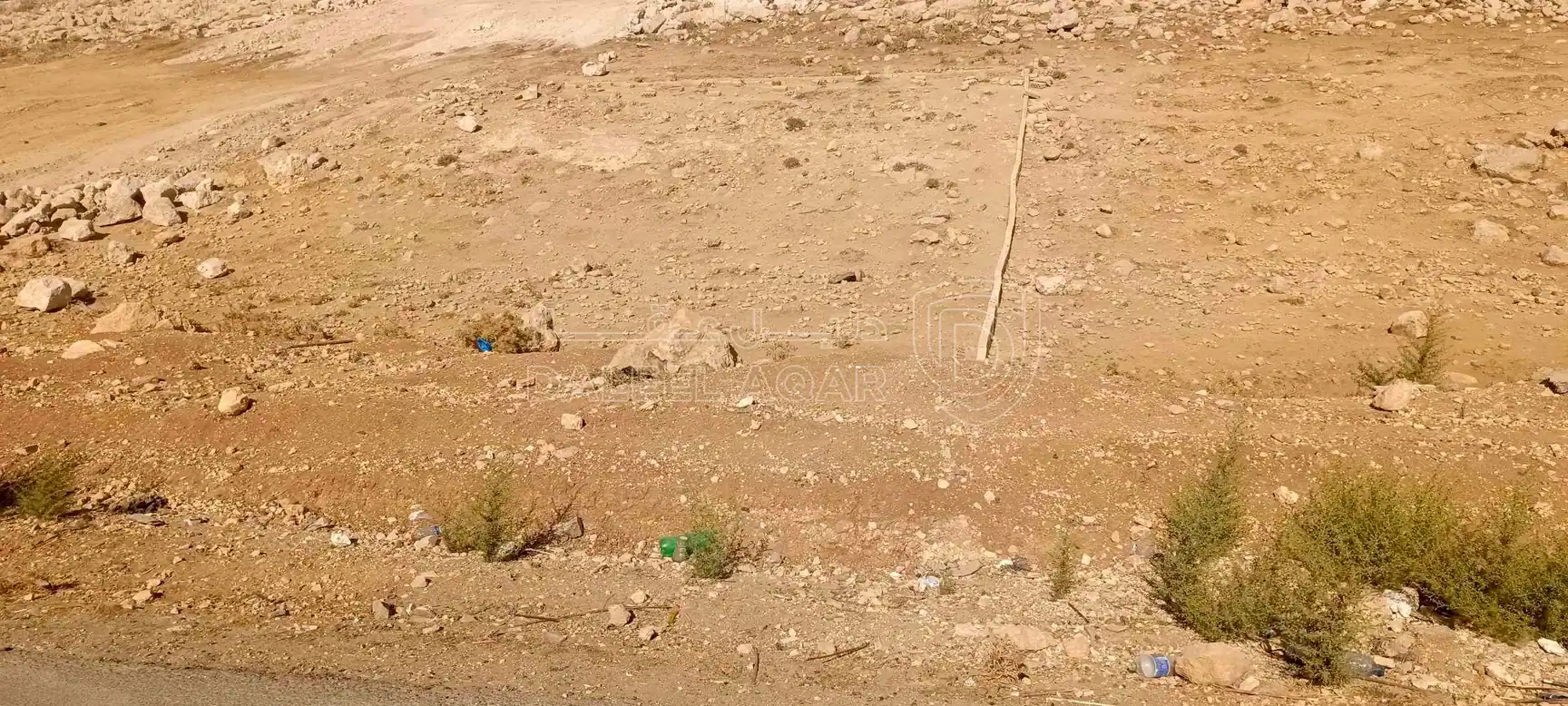 أرض في شارع المنصور  - 62,000 دأ - صورة 1