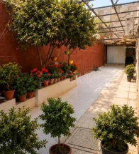 شقة في المدينة الرياضيه  - 95,000 دأ - صورة NaN